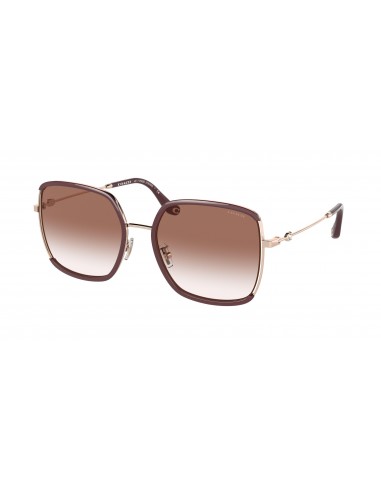 Coach C8000 7139BD Sunglasses commande en ligne