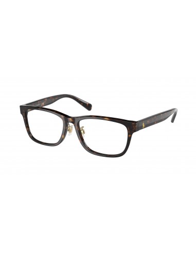 Polo 2249D Eyeglasses la colonne vertébrale