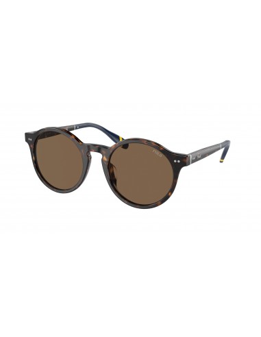 Polo 4204U Sunglasses acheter