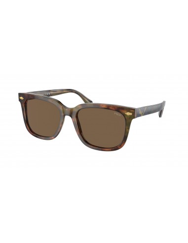 Polo 4210 Sunglasses en stock