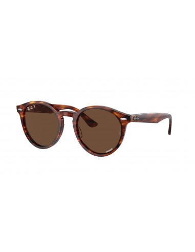 Ray-Ban Larry 7680S Sunglasses sélection de produits