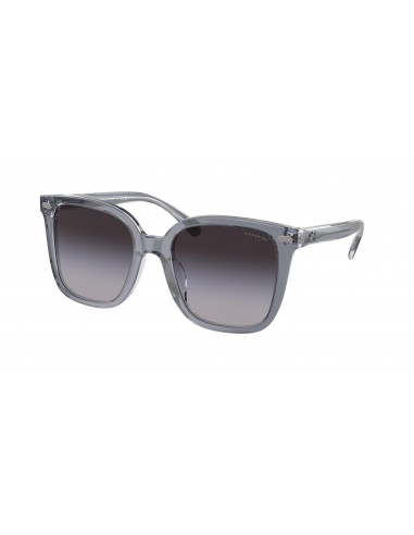 Coach Cl919 8381F Sunglasses 50-70% off 