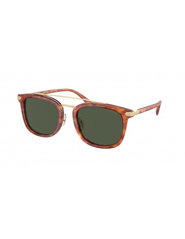 Coach Cl913 8382 Sunglasses la livraison gratuite