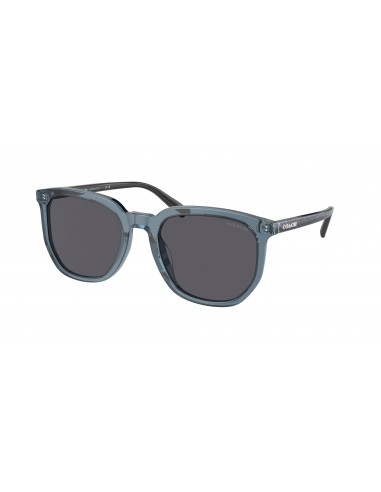 Coach Cl911 8384U Sunglasses en linge