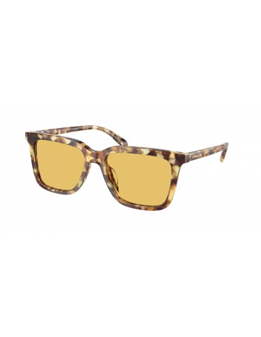 Coach Cl910 8385U Sunglasses l'achat 