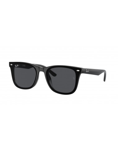 Ray-Ban 4420 Sunglasses brillant des détails fins