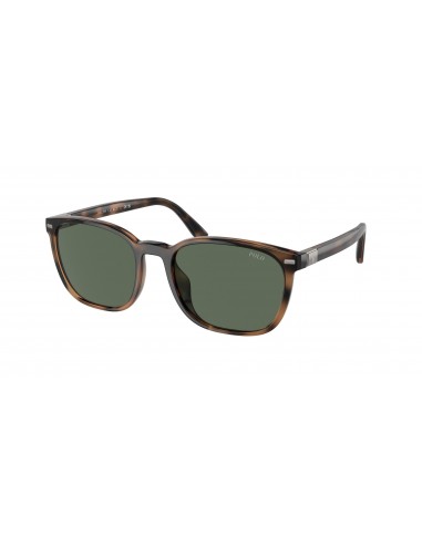 Polo 4208U Sunglasses meilleur choix