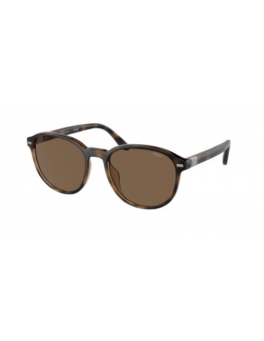 Polo 4207U Sunglasses pas chere