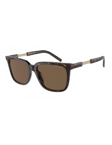 Giorgio Armani 8202U Sunglasses paiement sécurisé