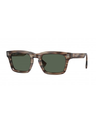 Burberry 4403 Sunglasses 2024