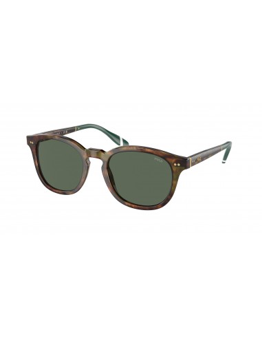 Polo 4206F Sunglasses Livraison rapide