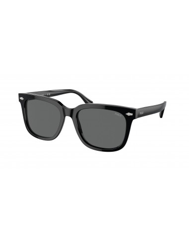 Polo 4210F Sunglasses 2023