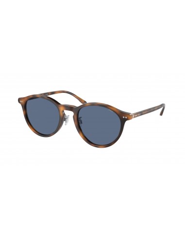 Polo 4193F Sunglasses pas cheres