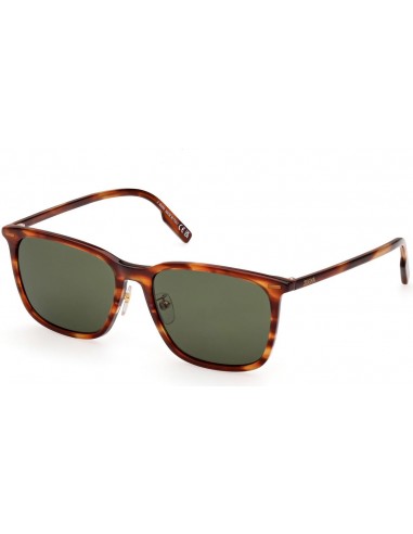 ZEGNA 0223D Sunglasses Dans la société mordern